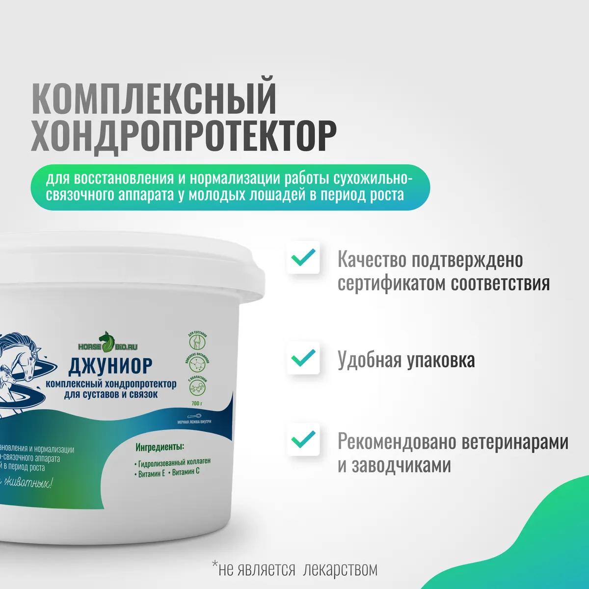 Хондропротектор Джуниор ArtroPro для молодых лошадей, 700