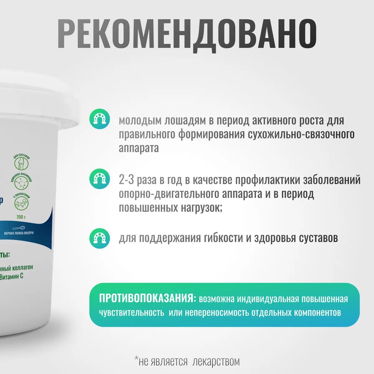 Хондропротектор Джуниор ArtroPro для молодых лошадей, 700