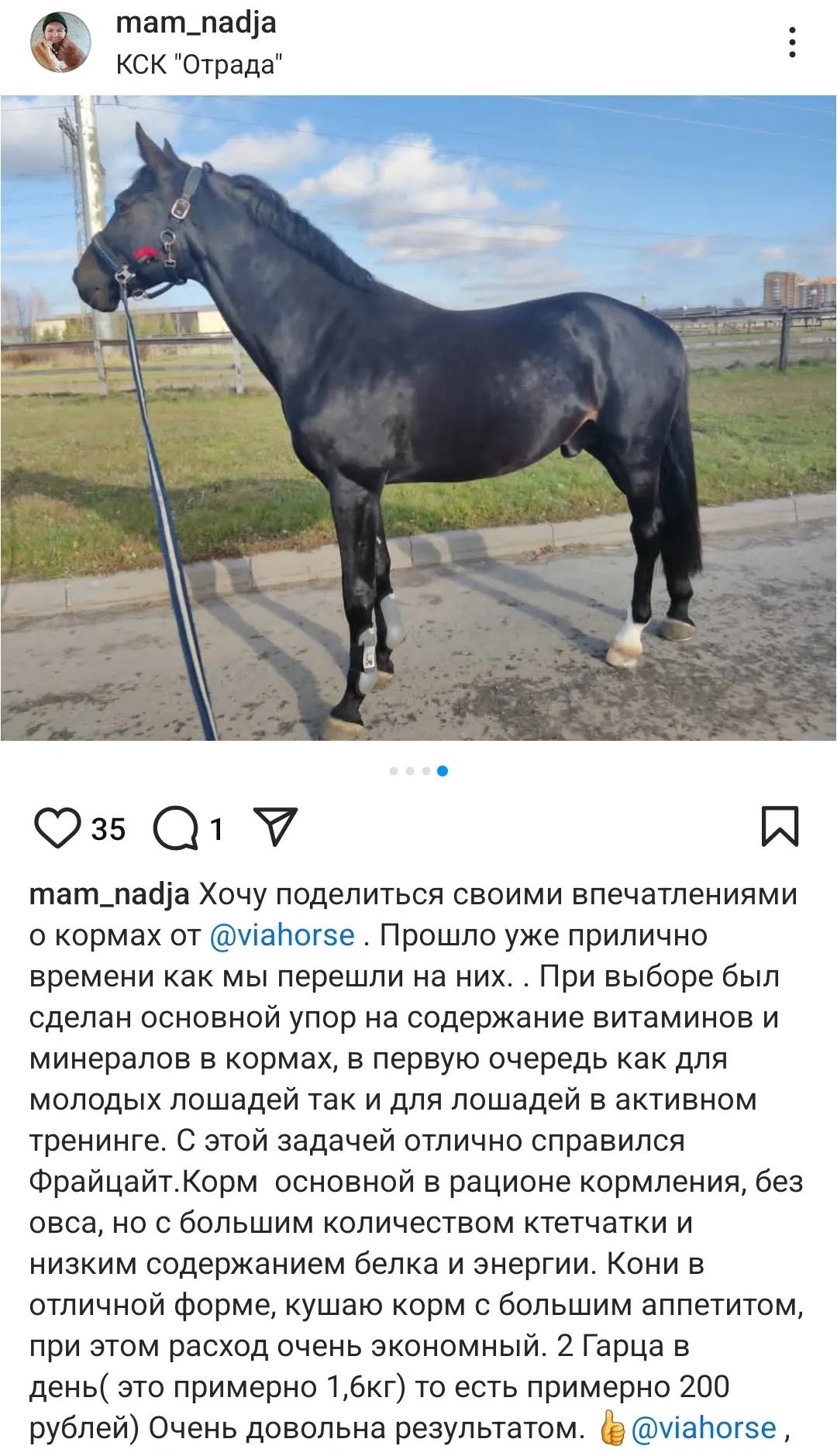 Витаминно-минеральная подкормка для лошадей VIAHORSE (ВИАХОРС) ФОРС, 10 кг