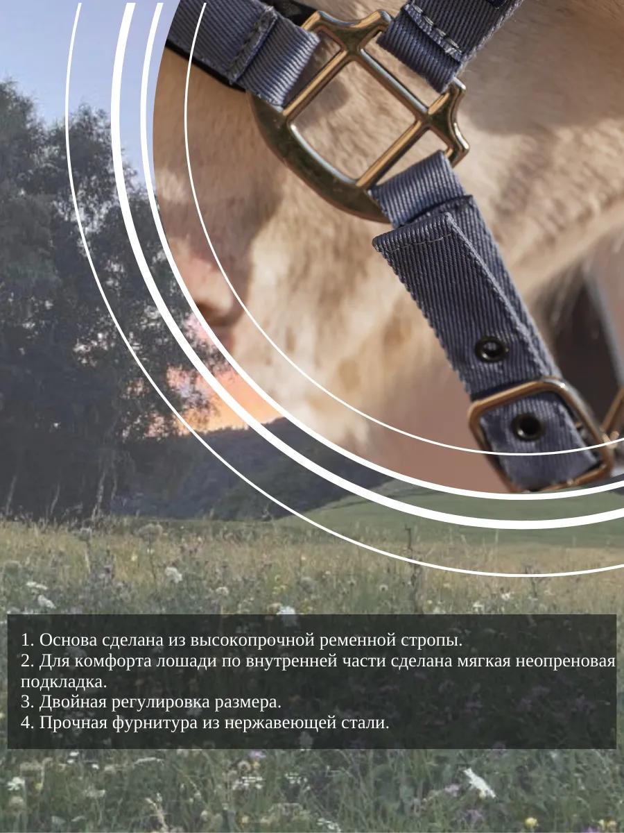 Недоуздок FAVORITE HORSE Comfort (голубой)