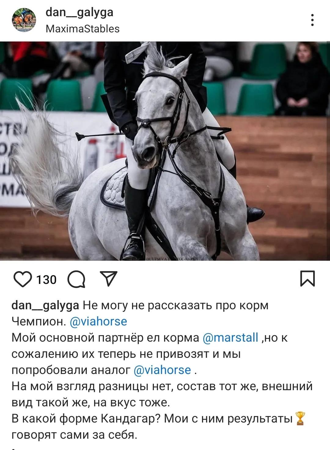 Витаминно-минеральная подкормка для лошадей VIAHORSE (ВИАХОРС) ФОРС, 10 кг