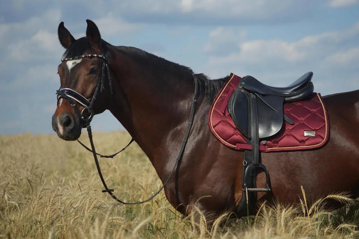 Вальтрап конкурный Happy Horse