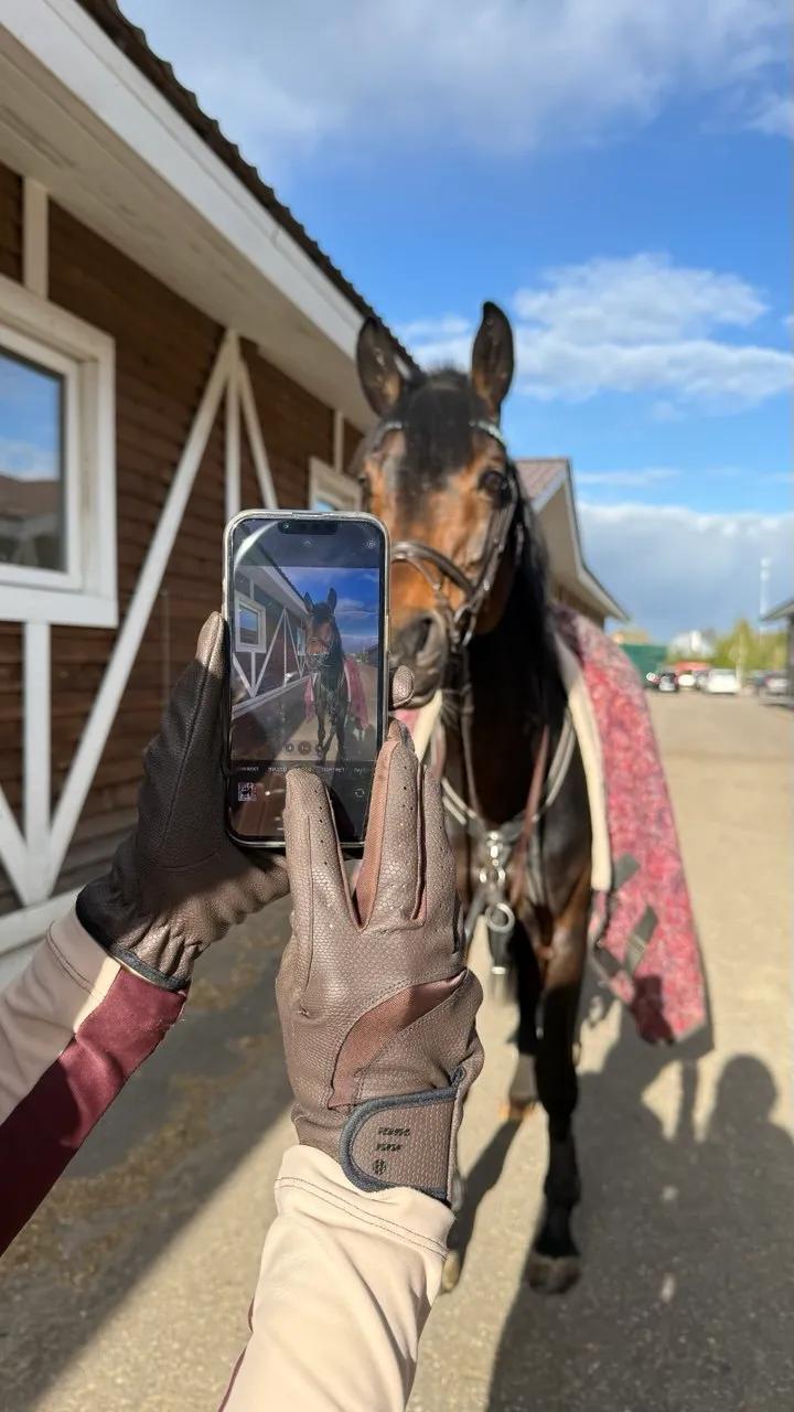 Перчатки HorseFactor (экокожа/замша)