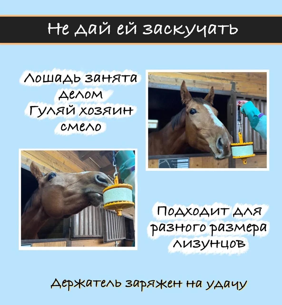 Держатель для лизунца (мат. пластик)