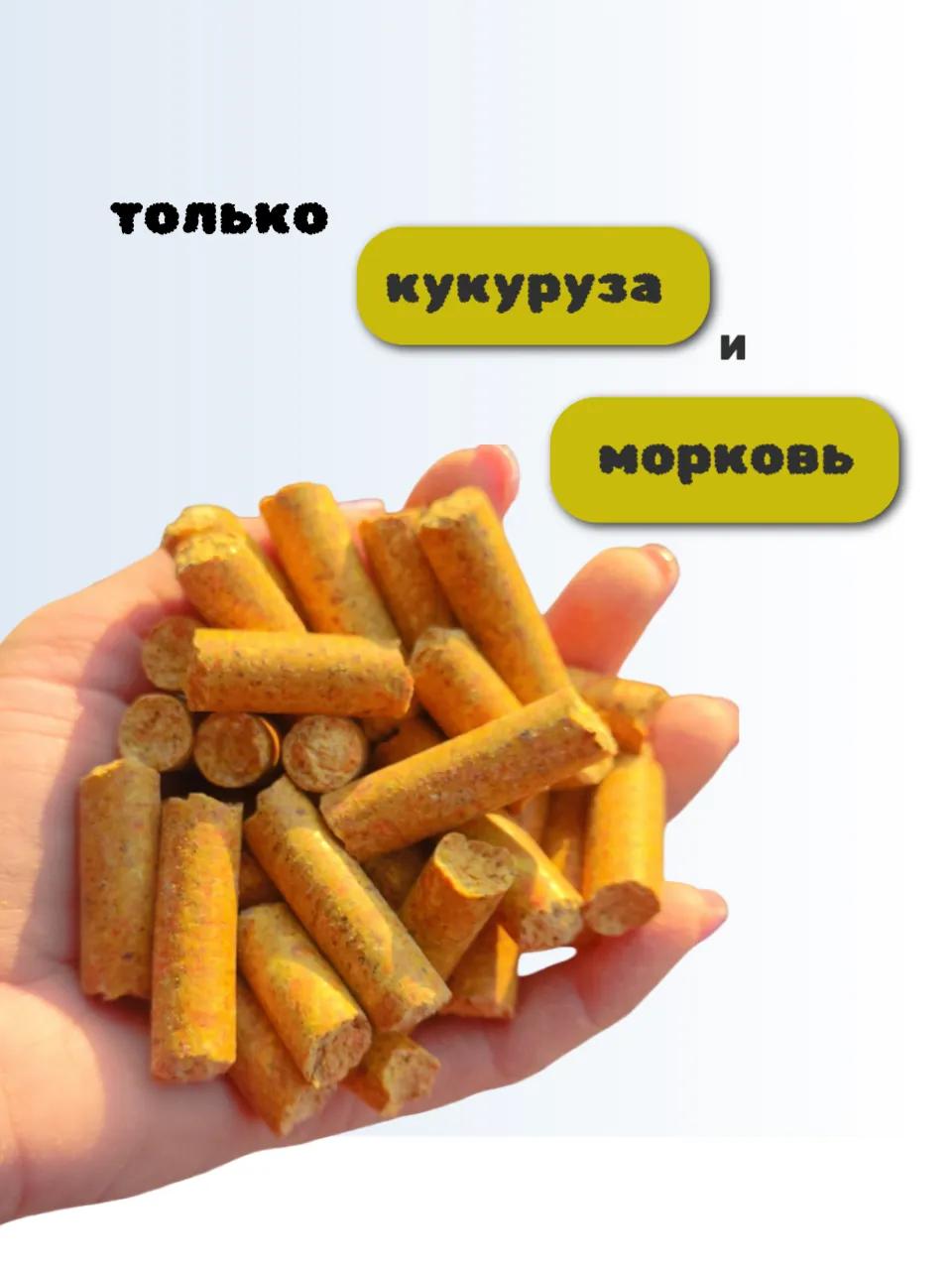 SanGran. Лакомства для лошадей кукурузные МОРКОВЬ. 5 кг