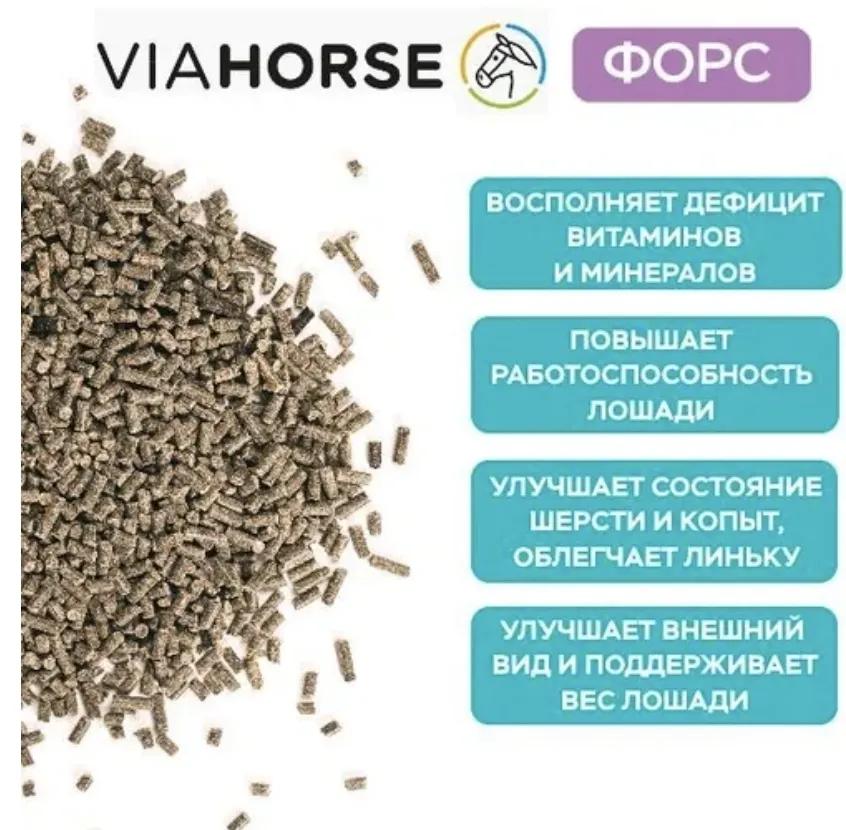 Витаминно-минеральная подкормка для лошадей VIAHORSE (ВИАХОРС) ФОРС, 10 кг