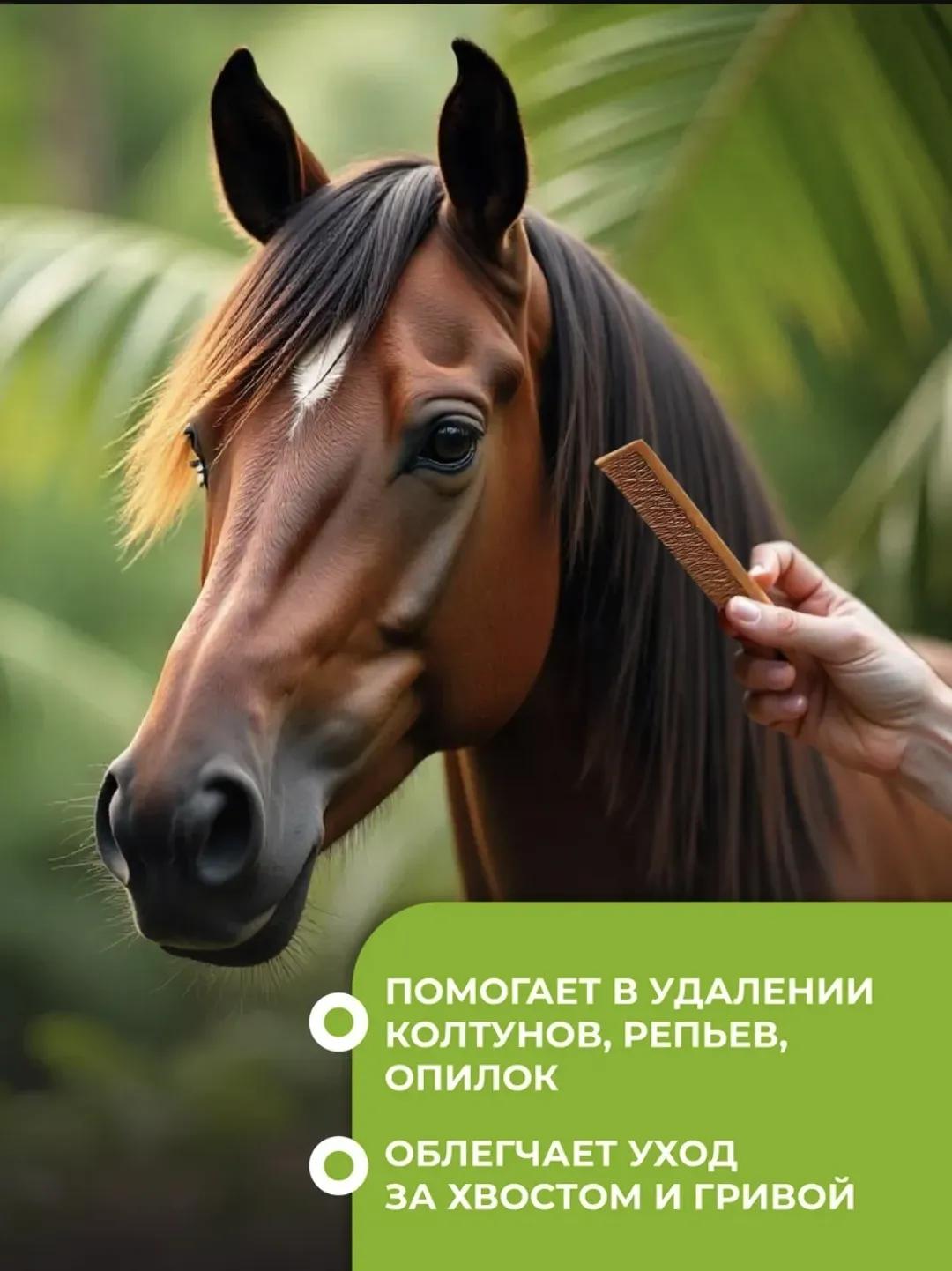 Кондиционер для лошадей Orange Horse Grooming с ароматом Ананаса.