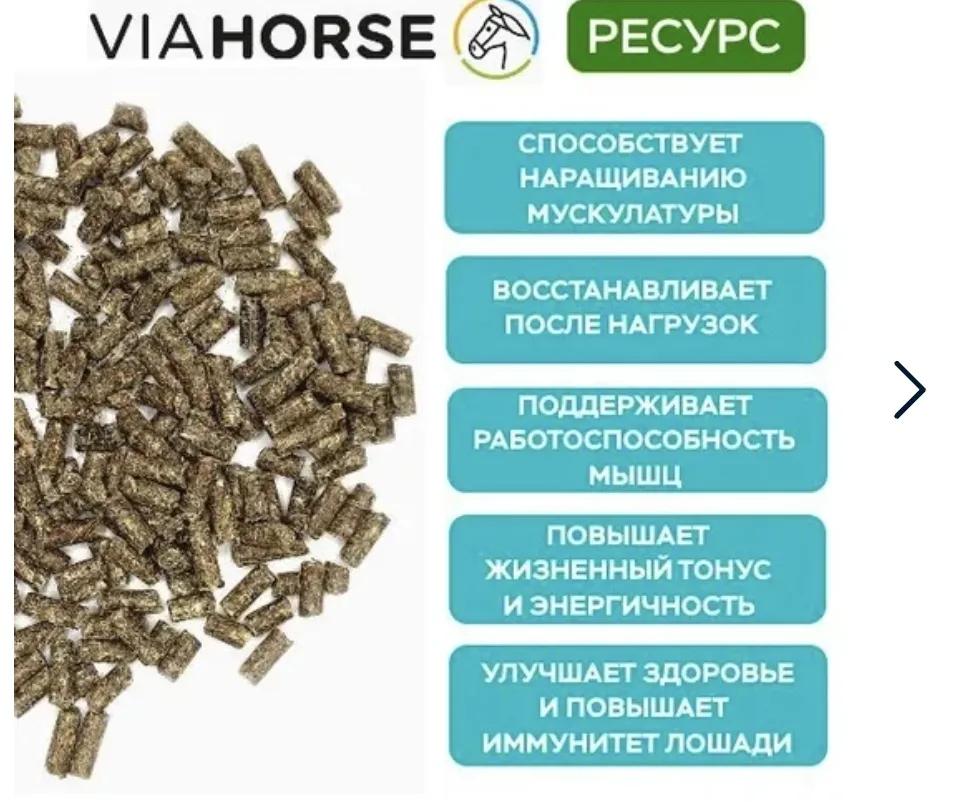 Концентрат для лошадей в разведении и работающих лошадей VIAHORSE (ВИАХОРС) РЕСУРС, 20 кг