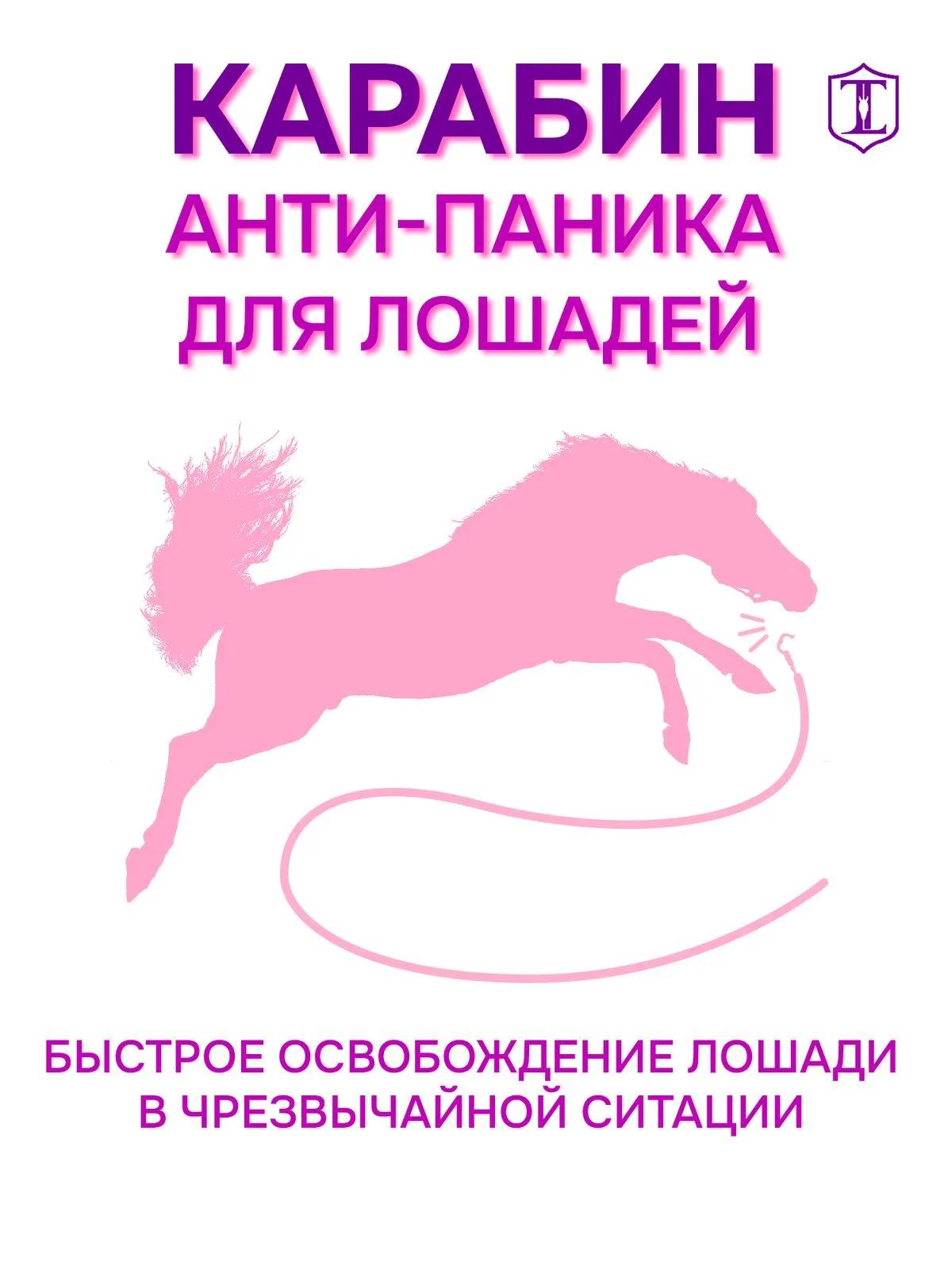 Карабин антипаника 4 штуки