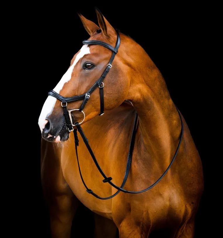 Уздечка анатомическая Horseware Micklem® Competition Bridle, Small Horse