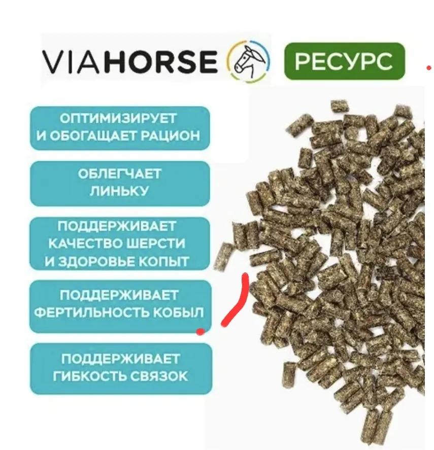 Концентрат для лошадей в разведении и работающих лошадей VIAHORSE (ВИАХОРС) РЕСУРС, 20 кг
