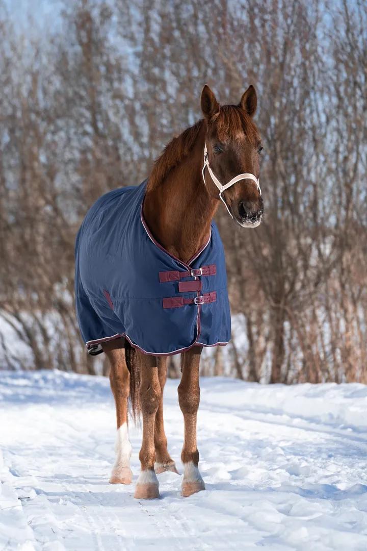 Попона денниковая FLEECE-LINED на флисе синий