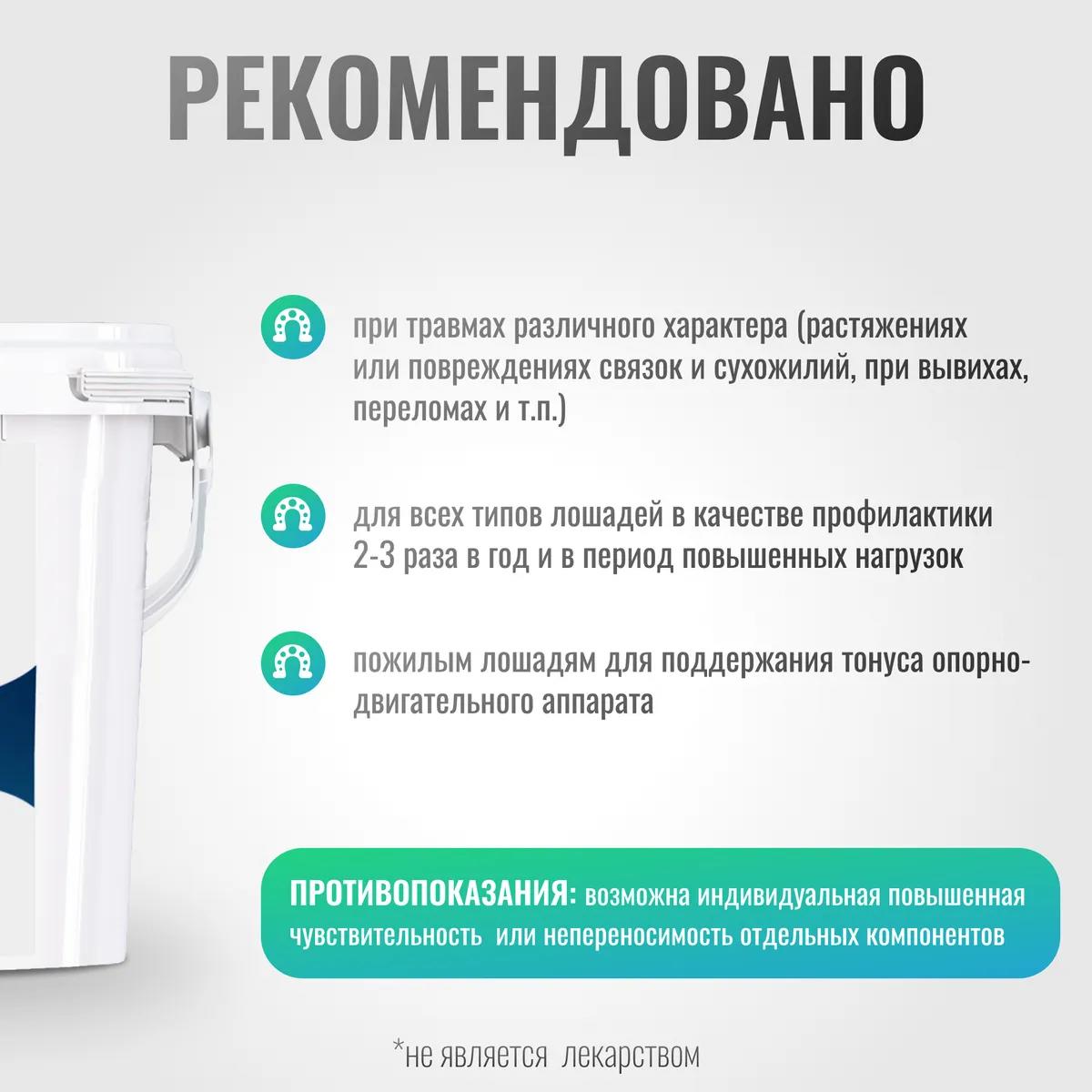 Хондропротектор ХОНДРО ArtroPro для лошадей, 1200 г