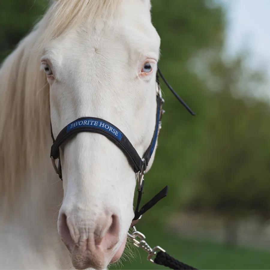 Недоуздок FAVORITE HORSE Comfort 