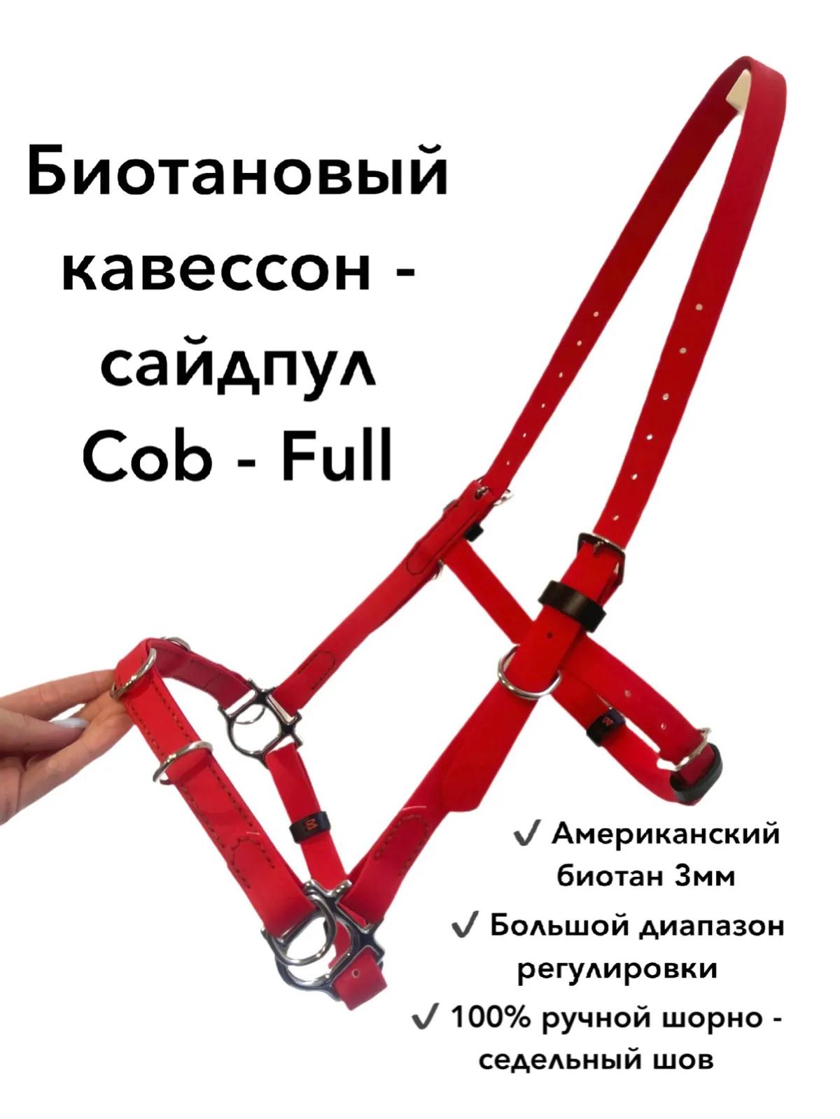 Кавессон