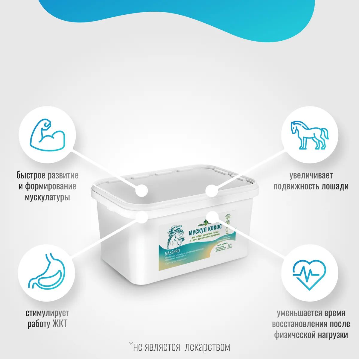 Мускул Кокос MassPro для лошадей MAXI, 2400 г