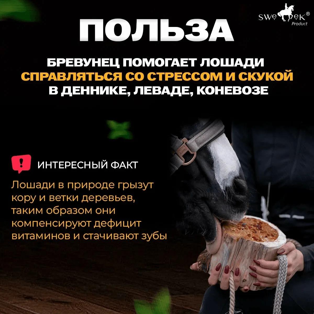 Бревунец для лошадей Зимний чай от Sweek product, уникальное лакомство - лизунец, 100% натуральный, кормовая добавка