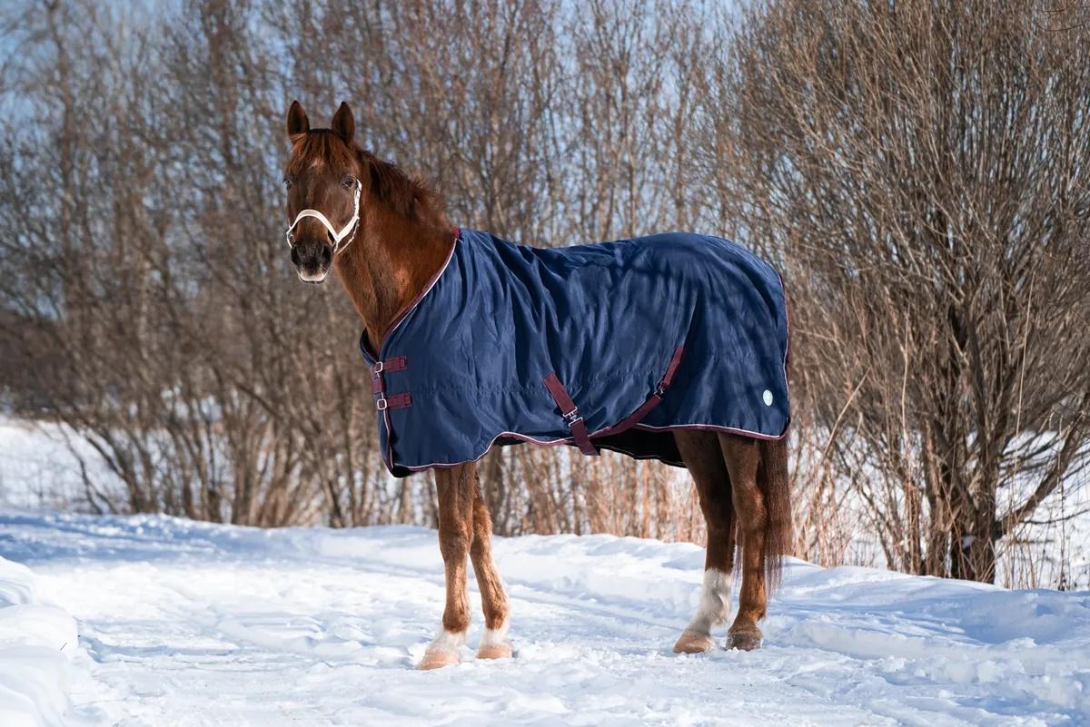 Попона денниковая FLEECE-LINED на флисе синий