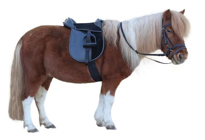 Седло "Economy Pony"