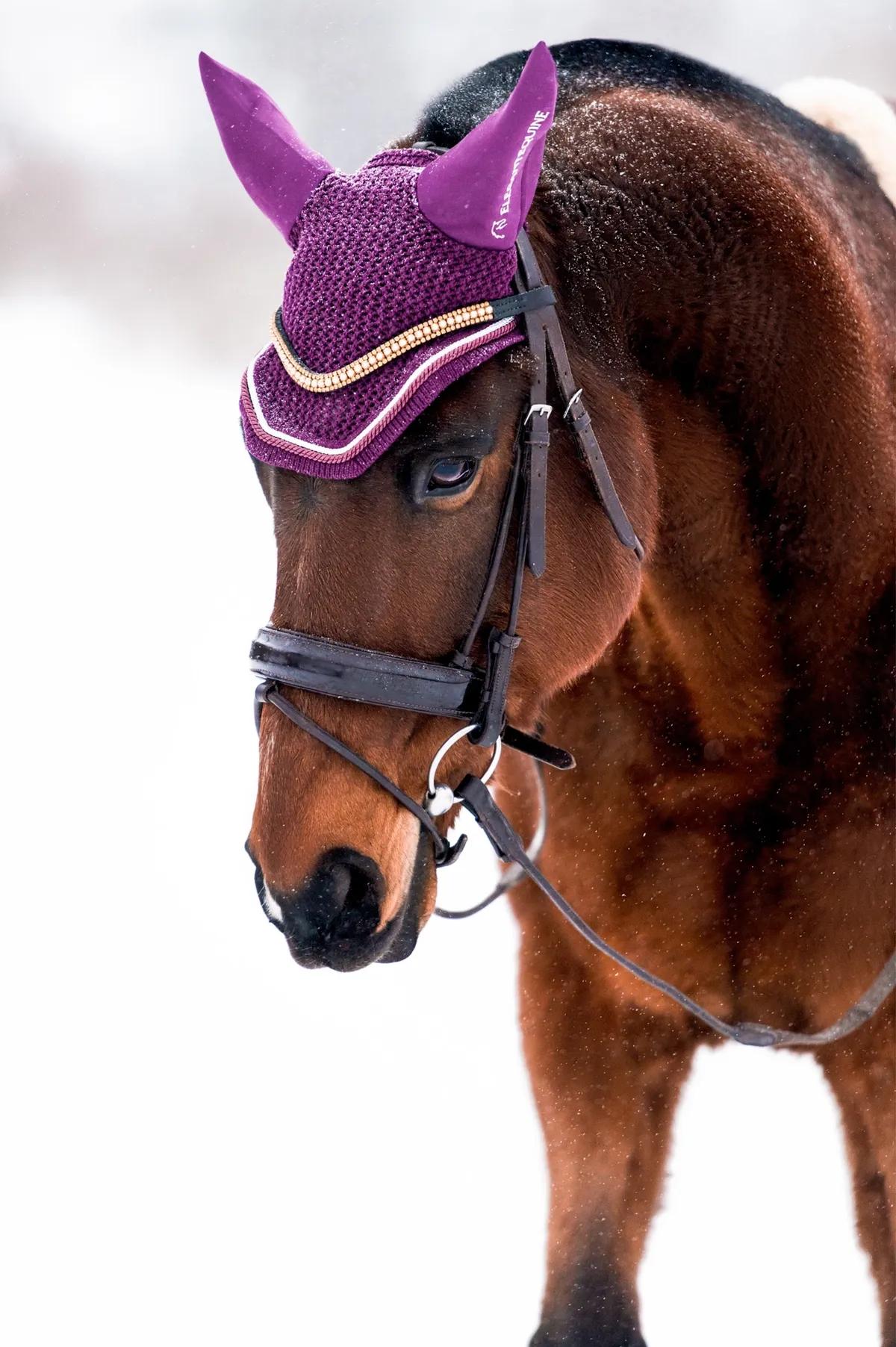 Ушки для лошади из коллекции Magic II от Elegant Equine