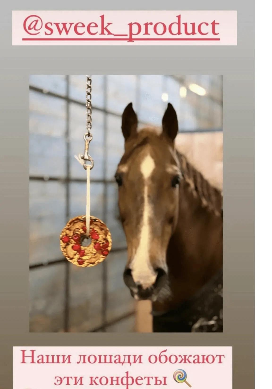 Сладкий лизунец "Вишневая груша" (ликит) для лошади Sweek product, 800 г, 100% натуральный
