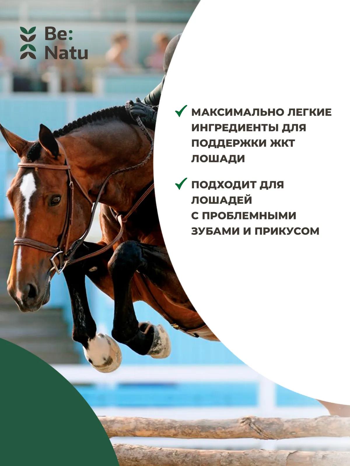 Vetmash 20 кг