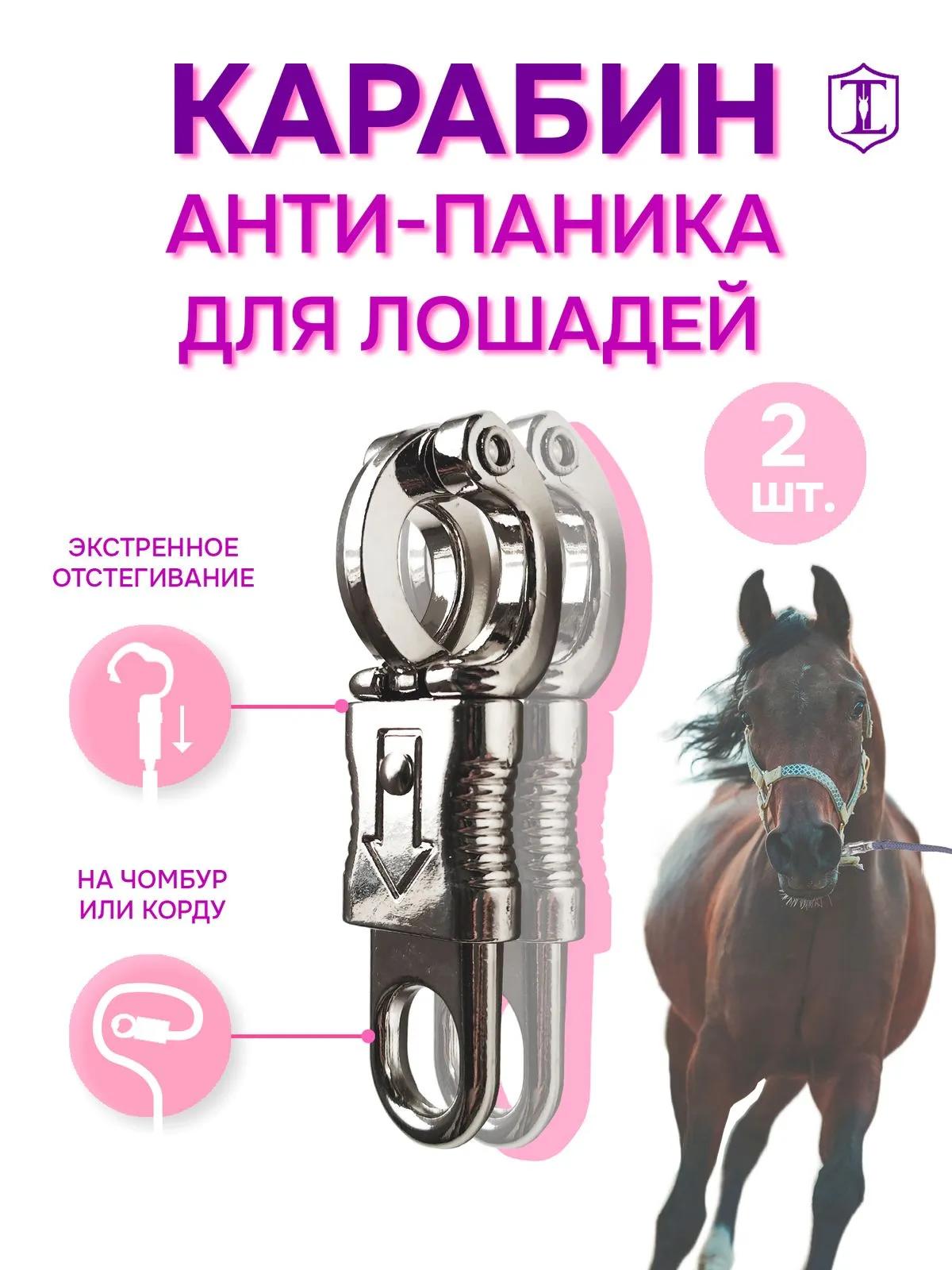 Карабин антипаника 2 штуки