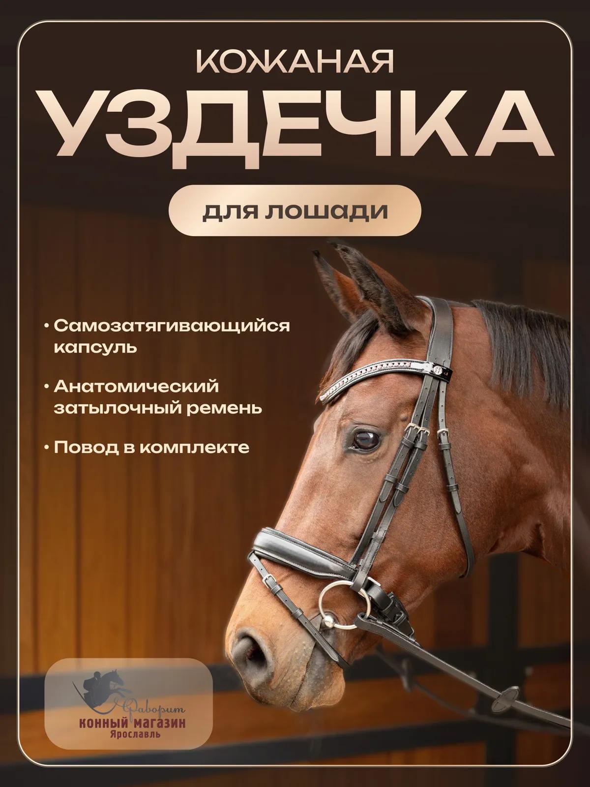 Уздечка для лошади кожаная Allegro, размеры Cob, Full ( Harry's Horse, Голландия)