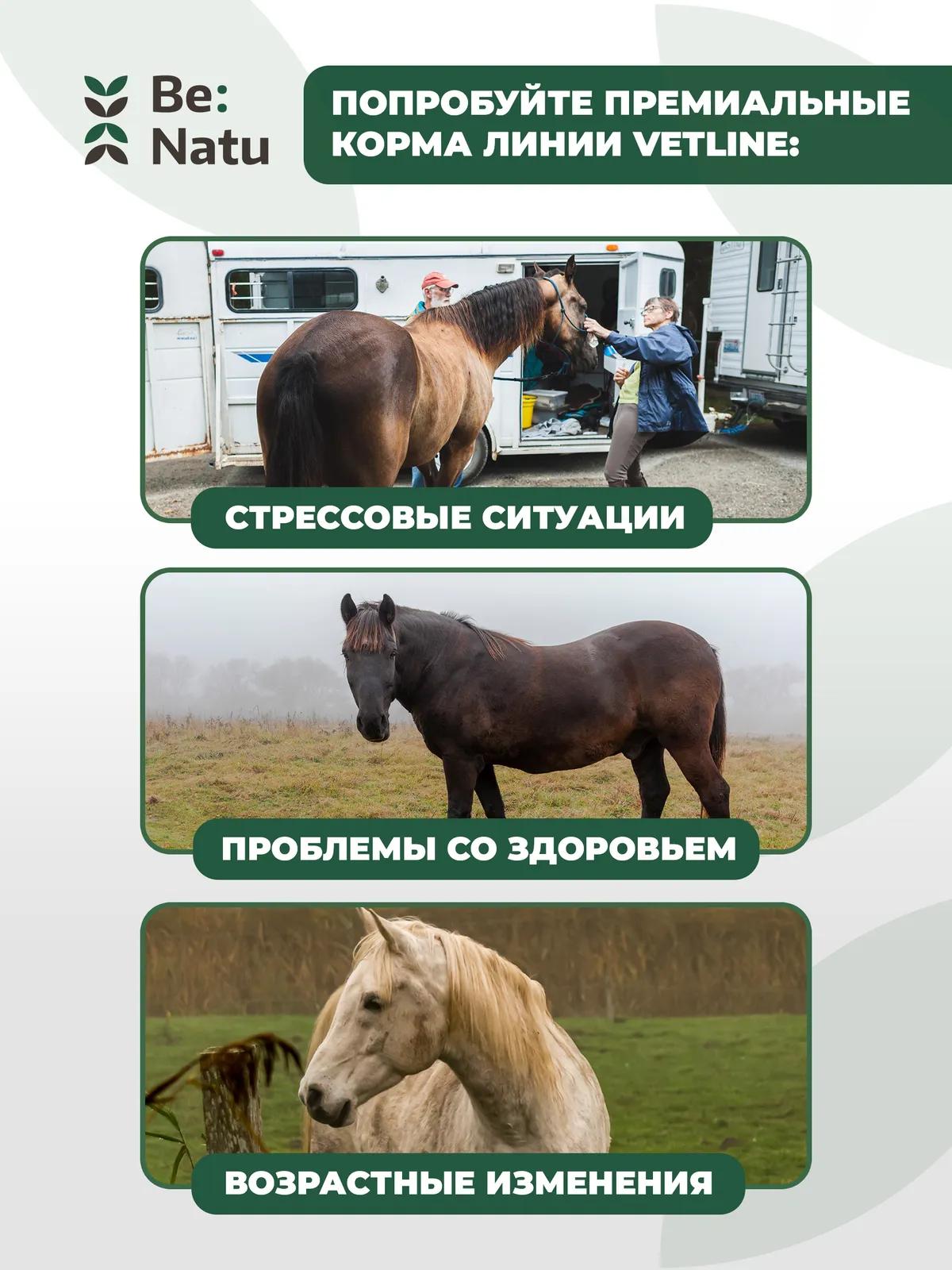 Be:Ficin 0,5кг