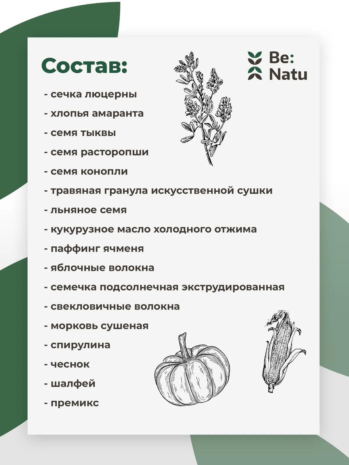 Be:Natu Senior mix 20 кг