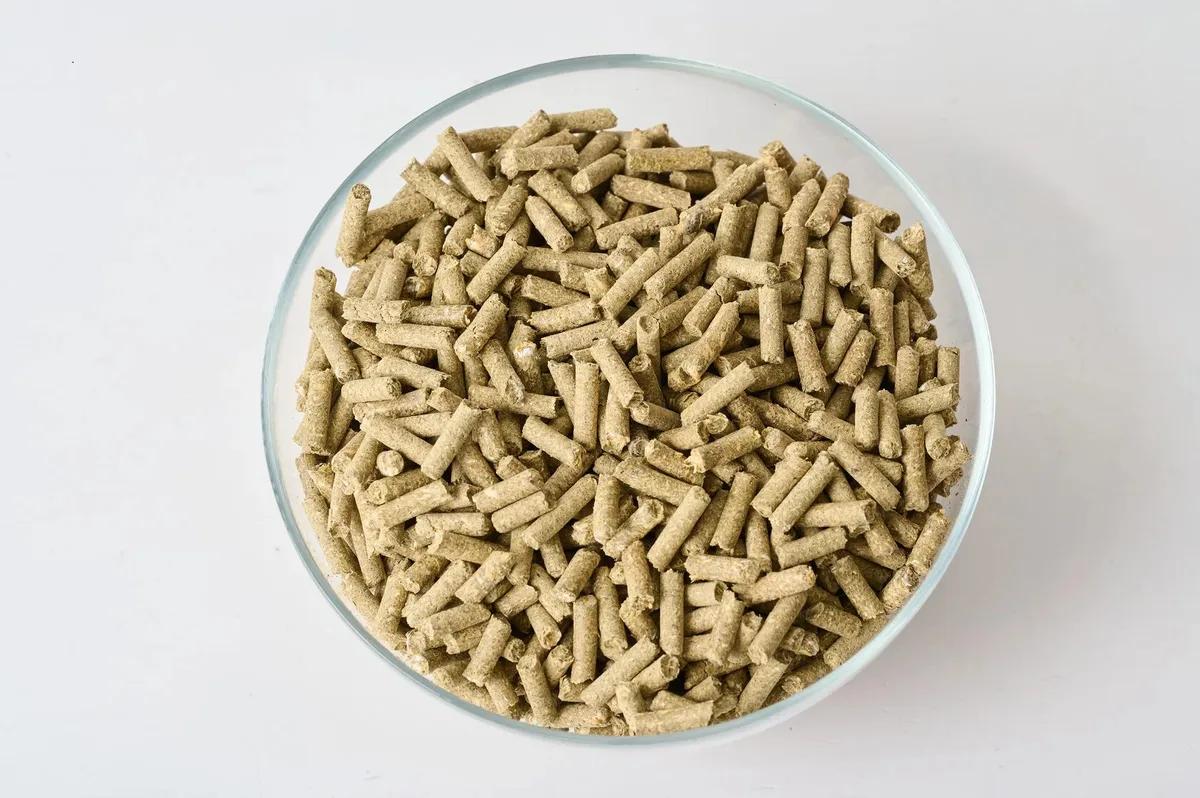 MINT SENSATION granules