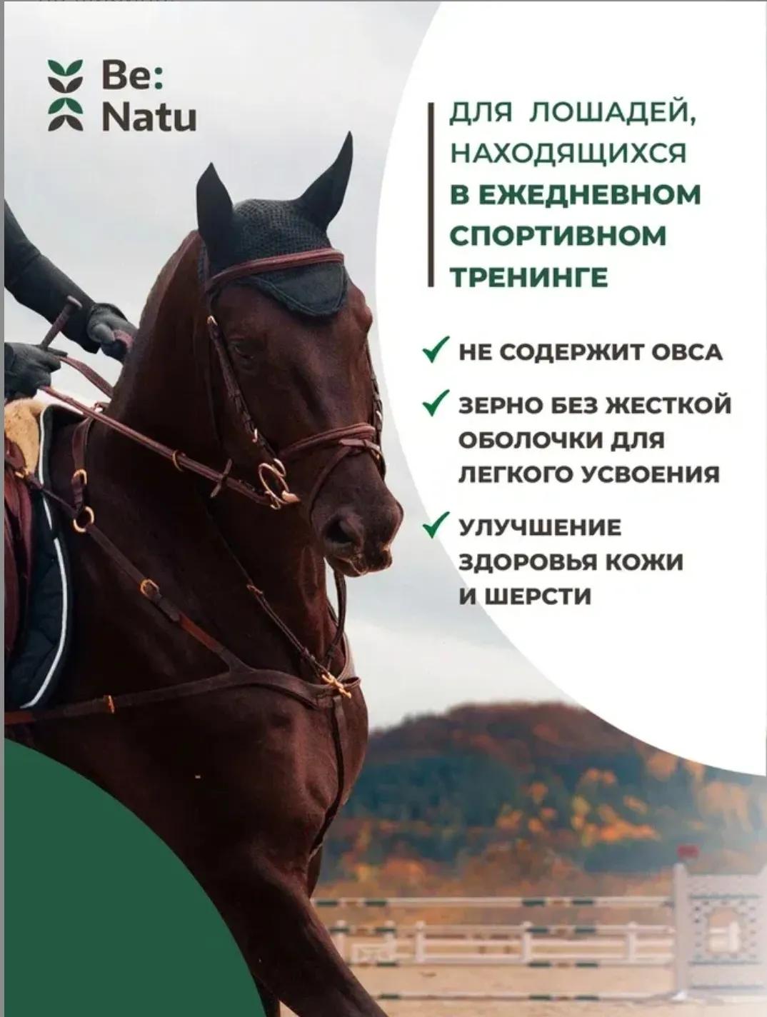 Be:Natu Угощение для спортивных лошадей Pro:sport mix 1 кг.