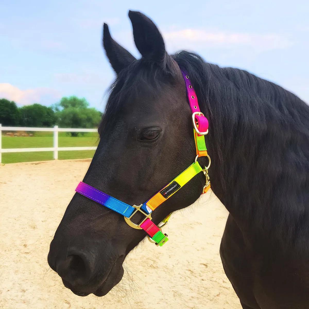 Недоуздок HE Rainbow Tropical радужный Pony