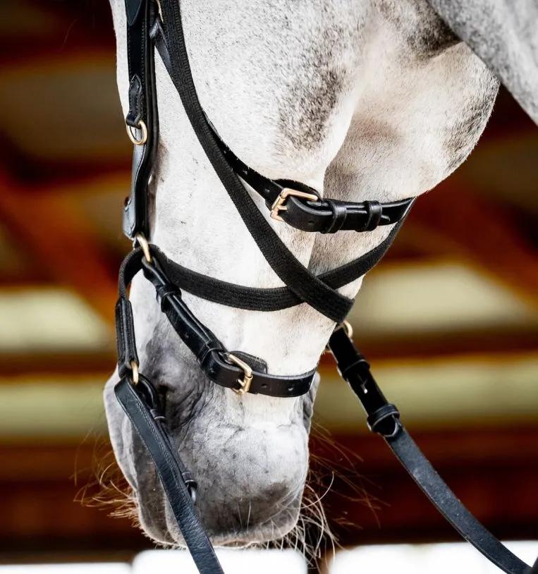 Уздечка анатомическая Horseware Micklem 2 Multi Bridle, Large Cob