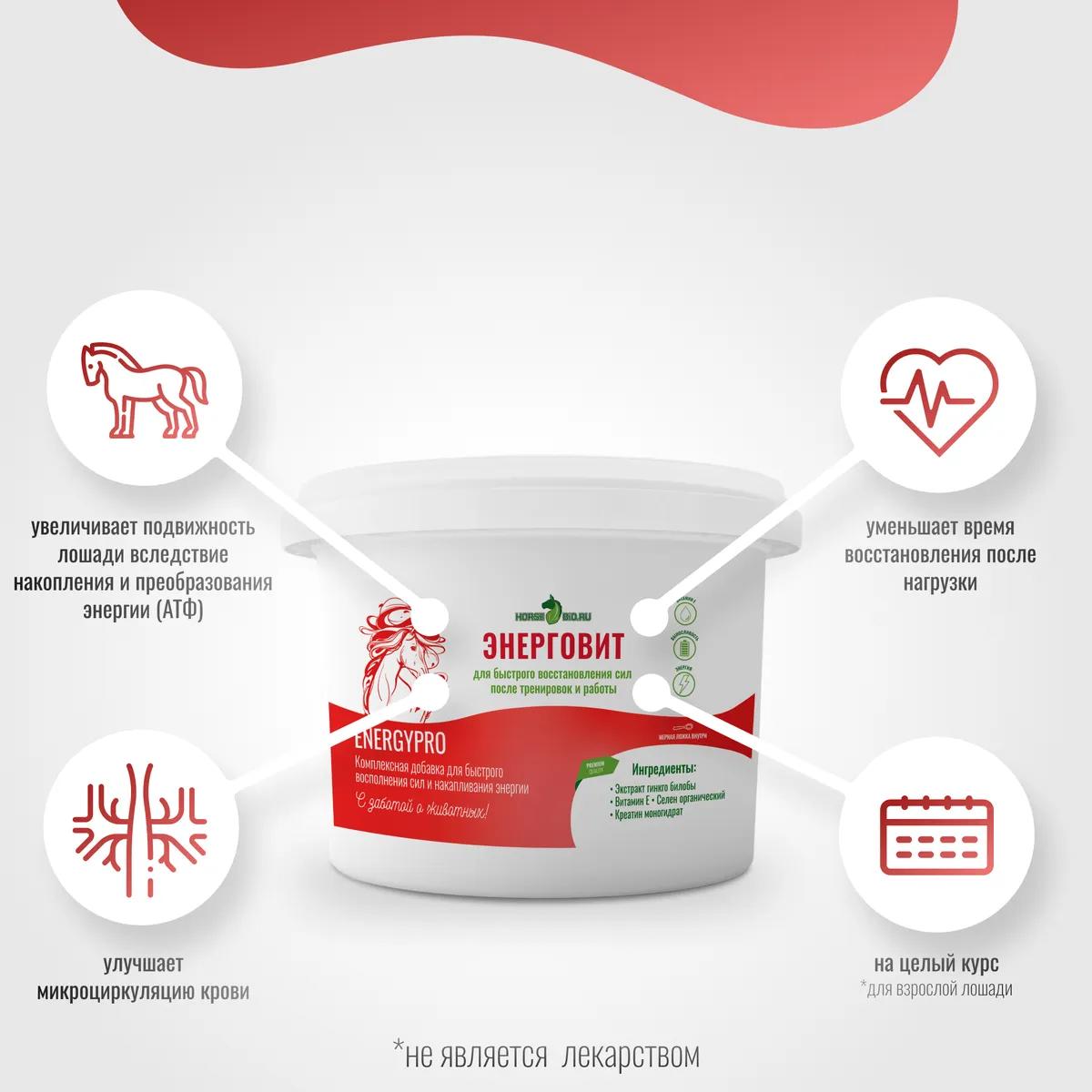 ЭнергоВит EnergyPro для лошадей, 1000 г