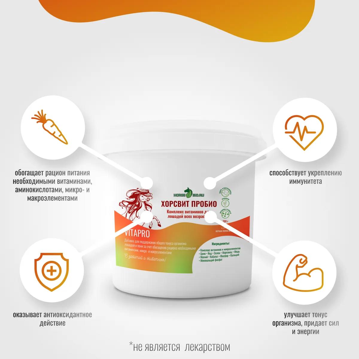 Витаминный комплекс  ХорсВит Пробио VitaPro для лошадей, 700 г