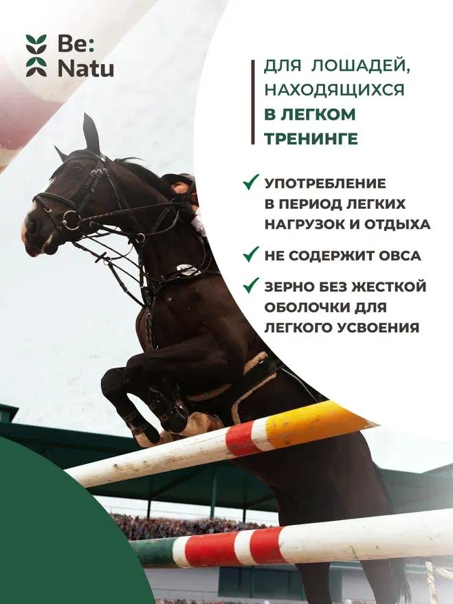Be:Natu Basic mix 20кг.