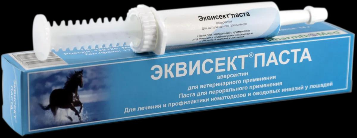 Эквисект