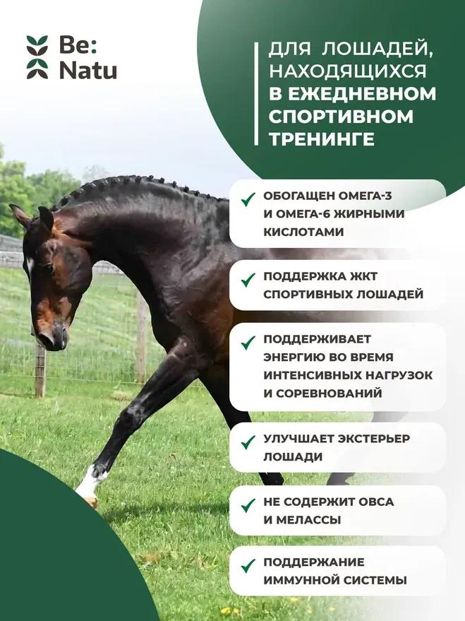 Be:Natu Miracle mash 20кг.