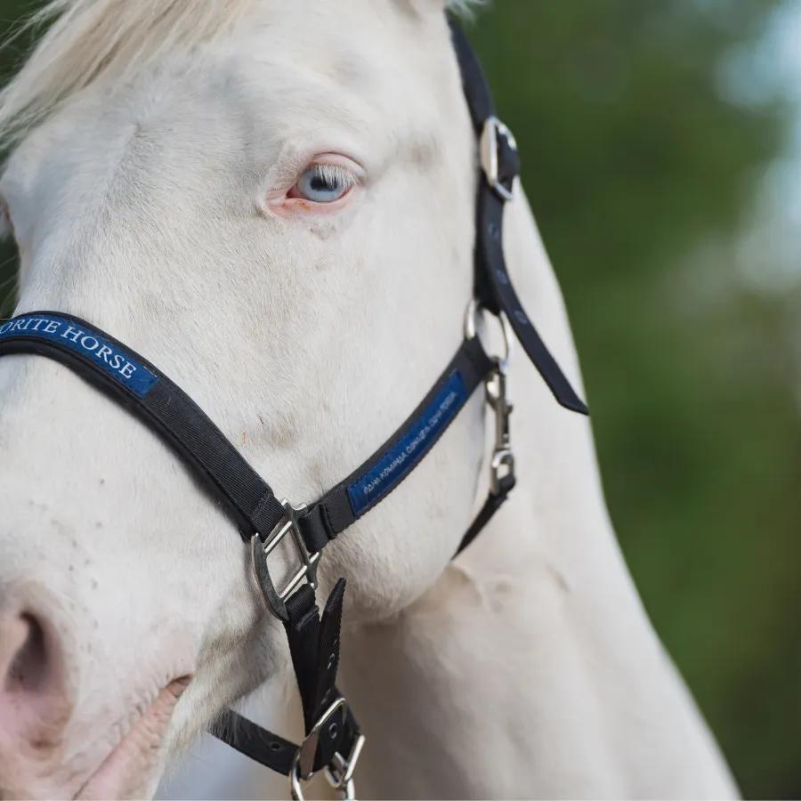 Недоуздок FAVORITE HORSE Comfort 