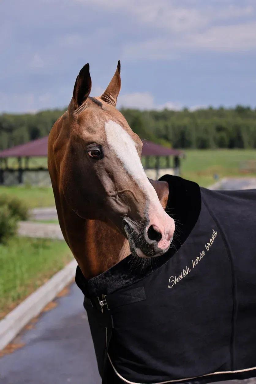 Попона SHEIKH HORSE BRAND, коллекция ORIENTAL, цвет черный, р-р 155