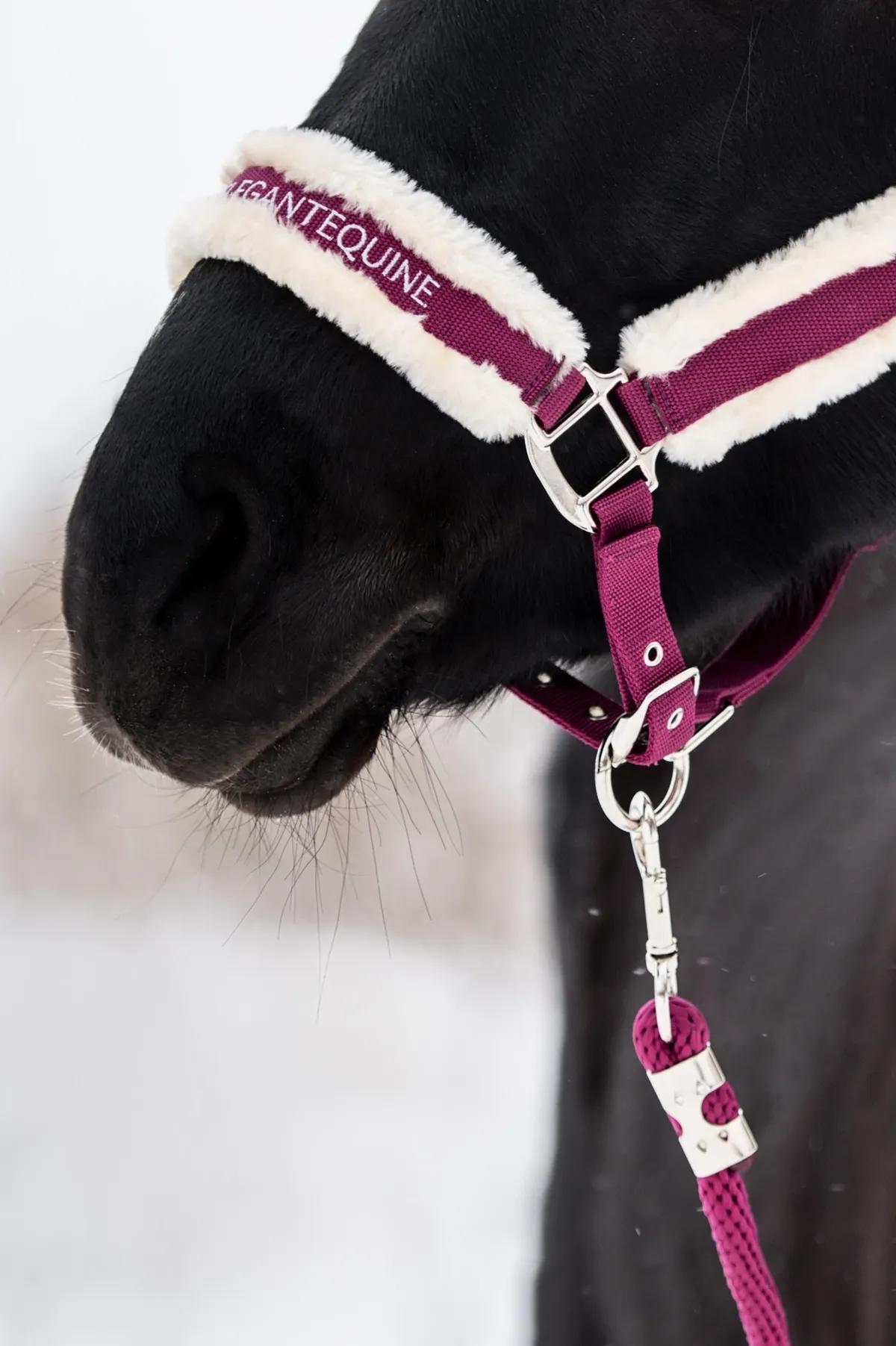 Недоуздок с искусственным мехом и чомбур из коллекции Magic II от Elegant Equine