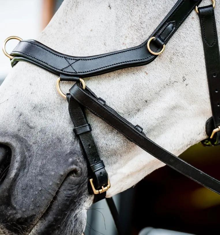 Уздечка анатомическая Horseware Micklem 2 Multi Bridle, Large Cob