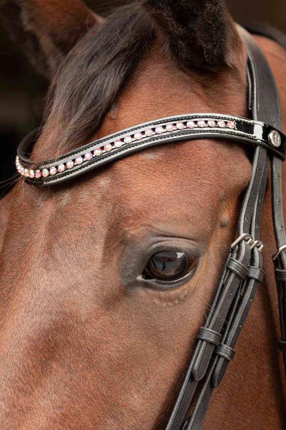 Уздечка для лошади кожаная Allegro, размеры Cob, Full ( Harry's Horse, Голландия)