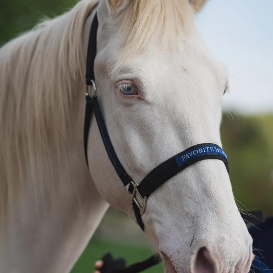 Недоуздок FAVORITE HORSE Comfort 