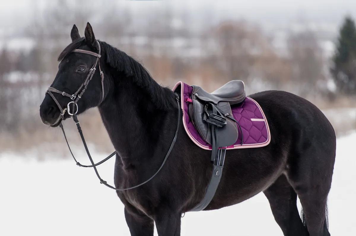 Вальтрап конкурный из коллекции Magic II от Elegant Equine