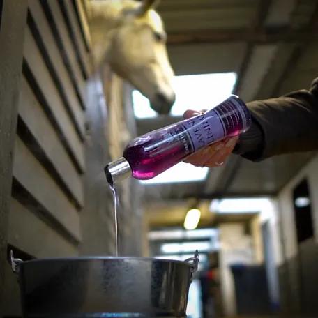 Гель двойной "Lavender liniment"