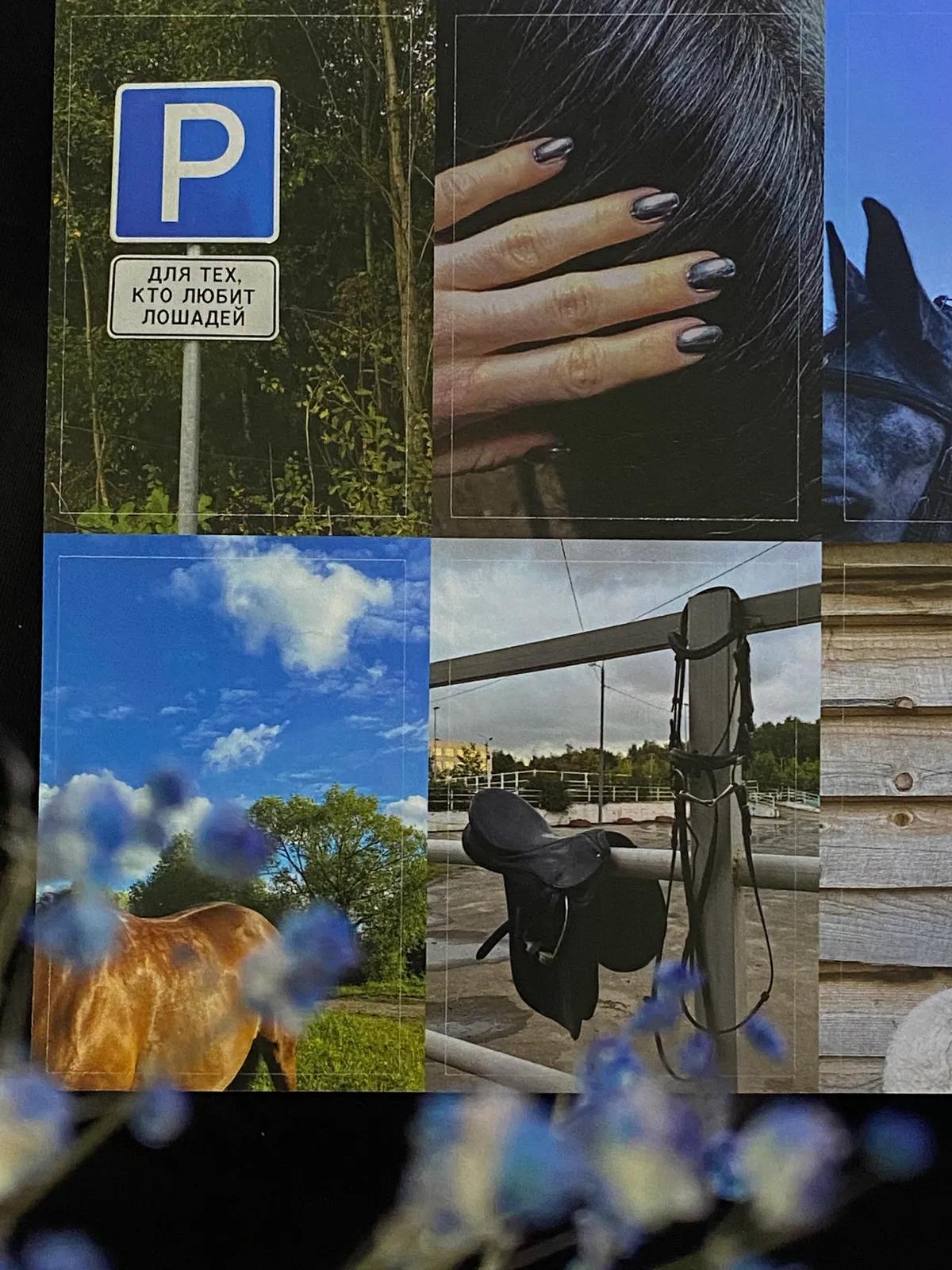 Стикерпак (наклейки) Blue