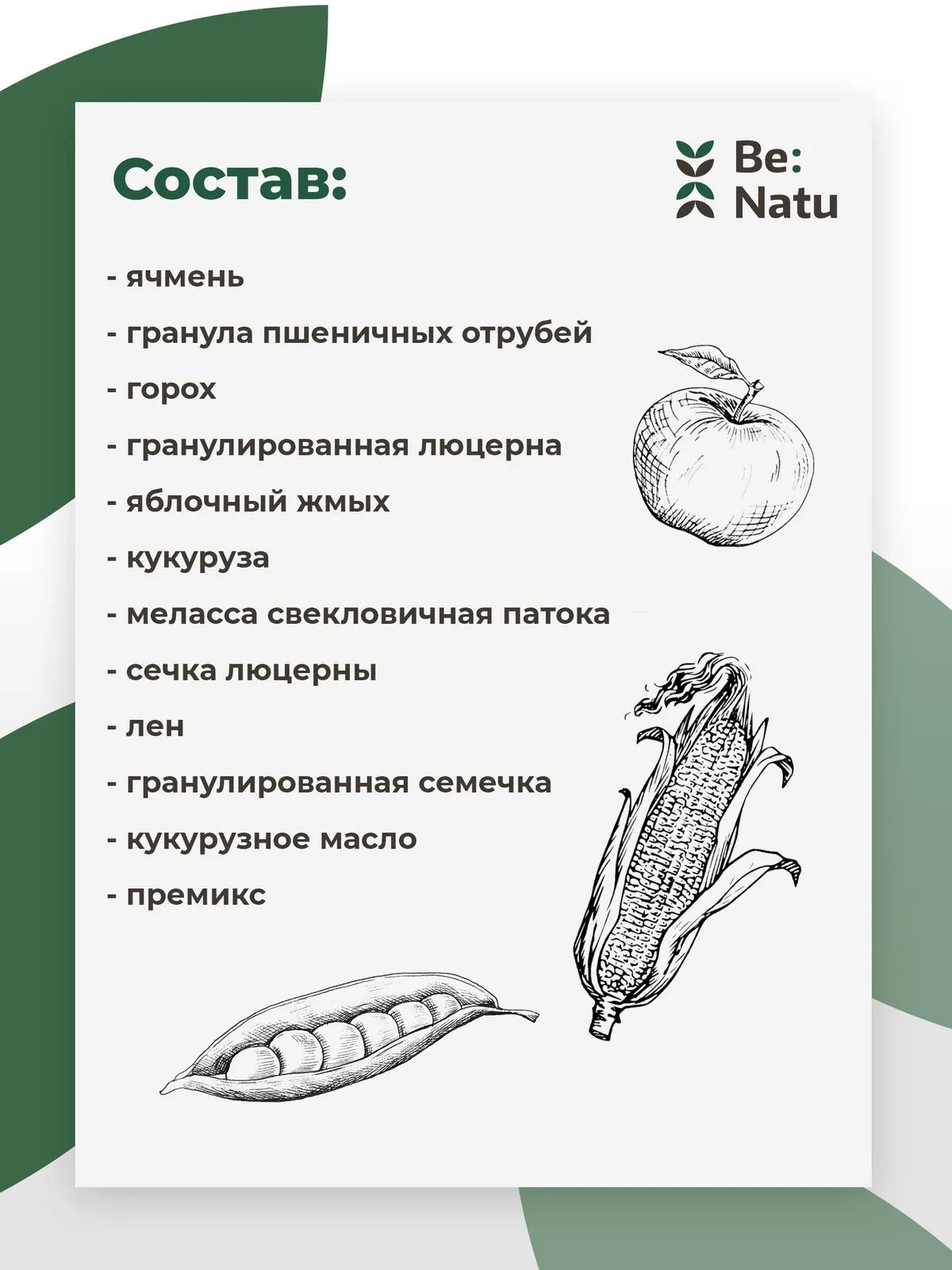 Be:Natu Every Day Mix