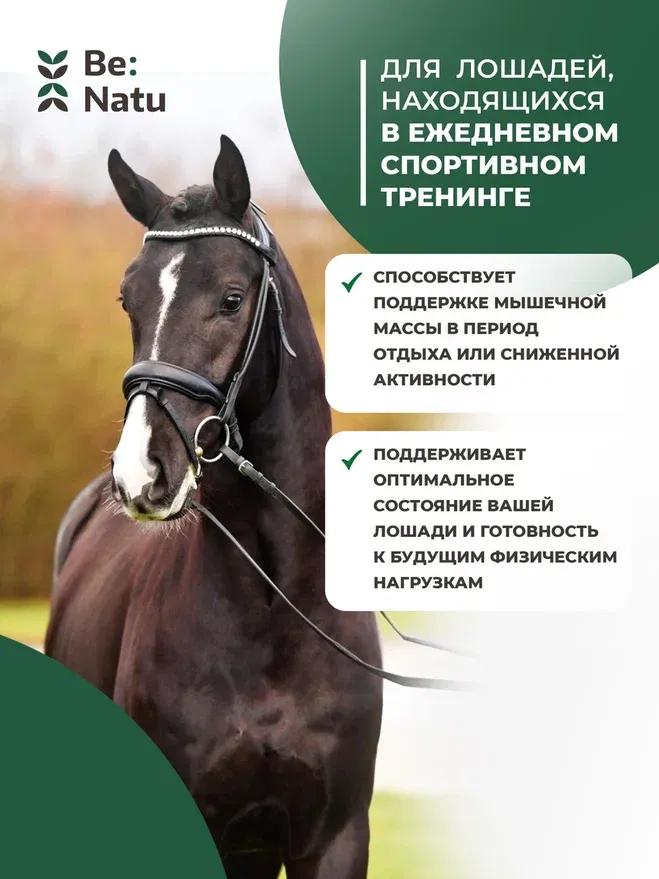 Be:Natu Regular mix 1 кг